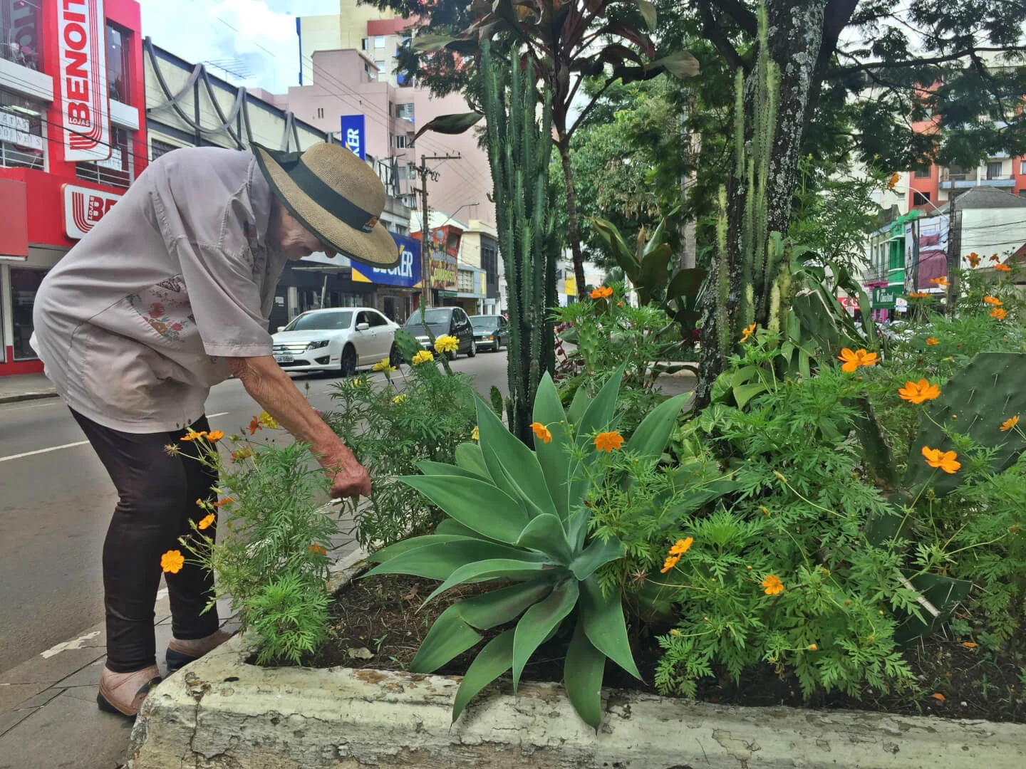 Adote o Verde incentiva a participação da população no cuidado com a cidade de Passo Fundo
