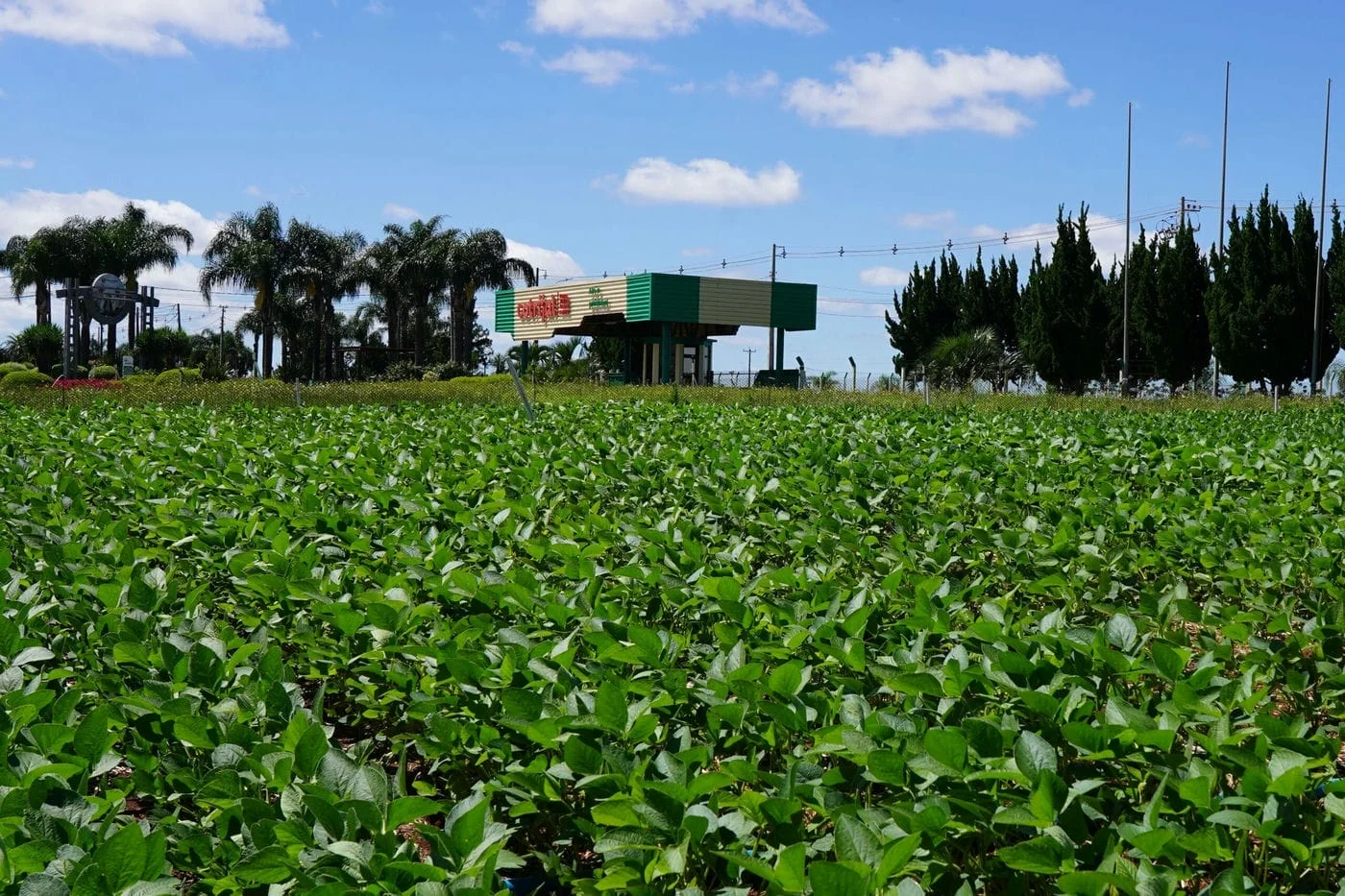 Expodireto Cotrijal: parque da feira já está movimentado